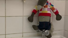 Petit loup dans les toilettes