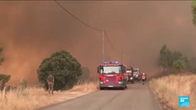 Oral Comprehension Fires in Portugal 