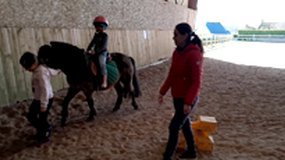 Poney3