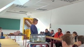 classe de mer