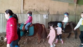 Poney2