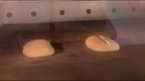 Définir le rôle de la scarification du pain