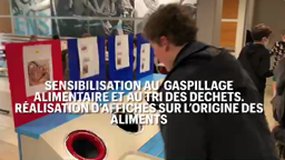Un rêve d'éco-délégué collège/Lycée Assomption Rennes