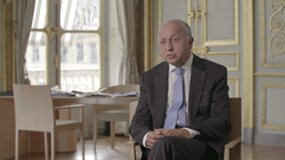 Le conseil constitutionnel-L. Fabius