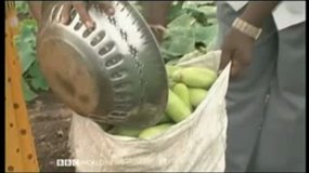 Food supply in India
