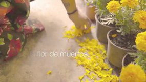 Día de Muertos