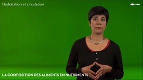 Rôle des groupes alimentaires