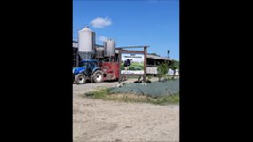 Visite d'une exploitation laitière
