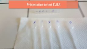 Test ELISA