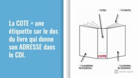 Comment les livres DOCUMENTAIRES du CDI sont rangés ?