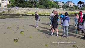 A.M.E : La journée du 3 Juin à Dinard