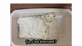 La nature sans déchet