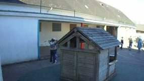 Oies d'avril 1