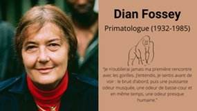 Diane Fossey, primatologue