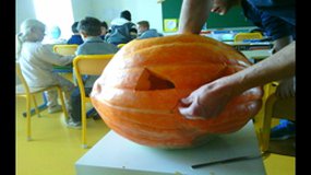 Citrouille