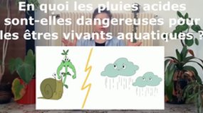 OAB 2023 Lycée Simone Veil - Les pluies acides vs Le Vivant