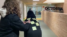 Stop au harcèlement