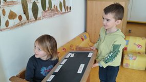 A la bibliothèque - emprunt du documentaire sur l'ours blanc