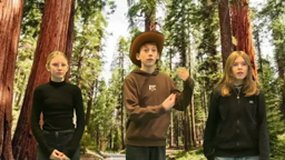 SEQUOIA