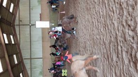 Jeu séance équitation